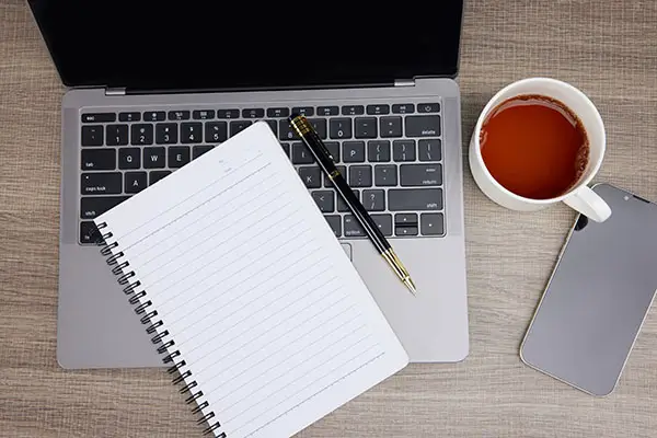 于谦纵马诗拼音解读